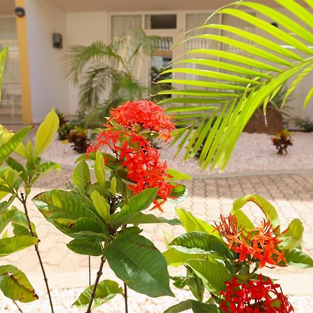 Montana Eco Resort Aruba Oranjestad Eksteriør bilde